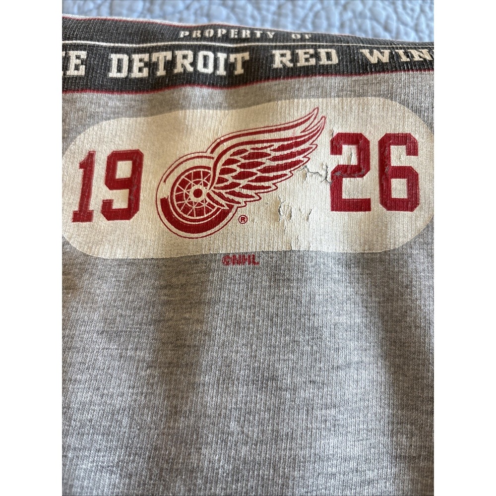Detroit Red Wings ProEdge Large Athletic Crewneck NHL Sweatshirt Vintage - Picture 13 of 13